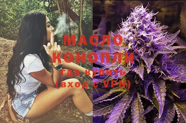 шишки Абаза
