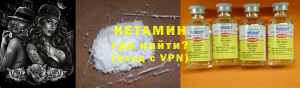 шишки Абаза