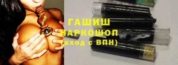 шишки Абаза