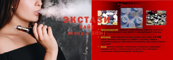 шишки Абаза