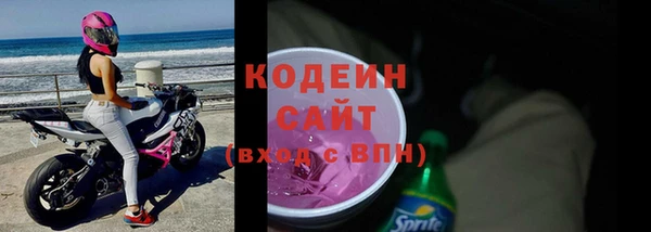 шишки Абаза