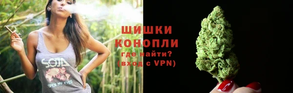 шишки Абаза