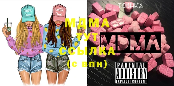 шишки Абаза