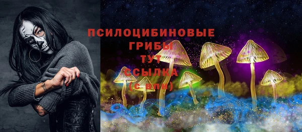 шишки Абаза