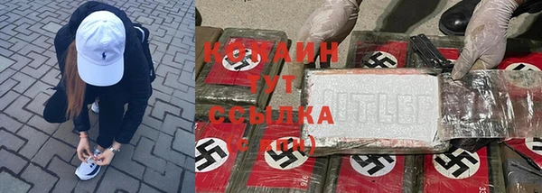 шишки Абаза