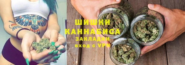 шишки Абаза