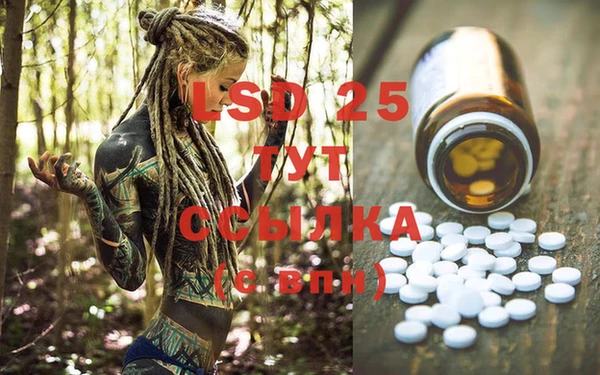 шишки Абаза