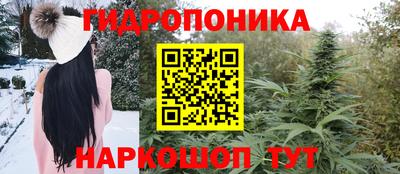 PSILOCYBIN Кулебаки