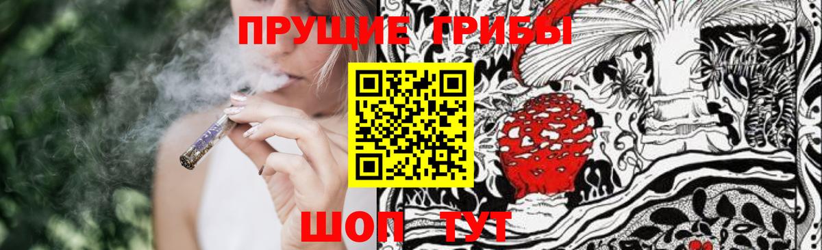 Балаково  Псилоцибиновые грибы прущие грибы  Вход с VPN 